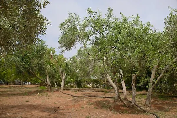Myrtiana Villa Protaras
