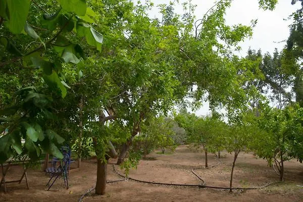 Myrtiana Villa Protaras